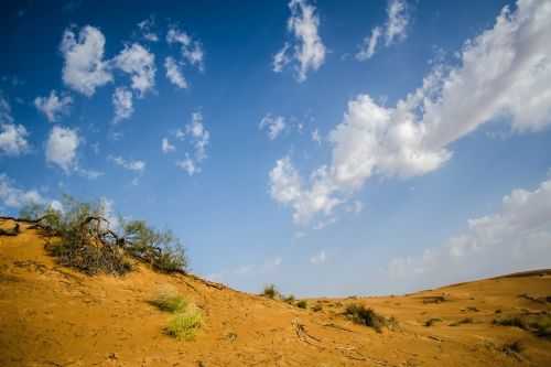 OMAN DESERT MARATHON | 165K 2014